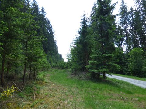 Foto 28